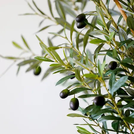 빌라 Marcia - Nature, Golf, Beaches-lagos 포티마오