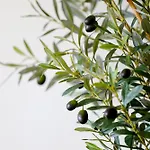 Βίλα Marcia - Nature, Golf, Beaches-lagos Portimão